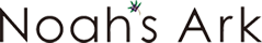 ノアズアーク
